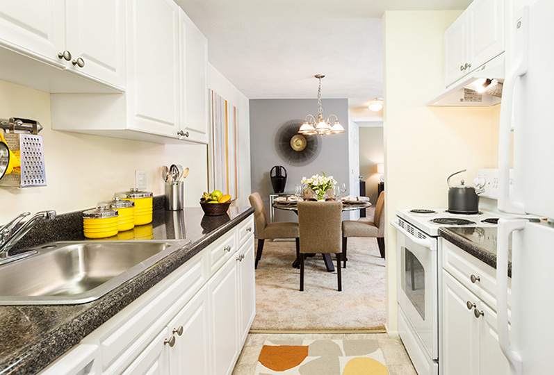 Village Green Chestnut Hill Realty