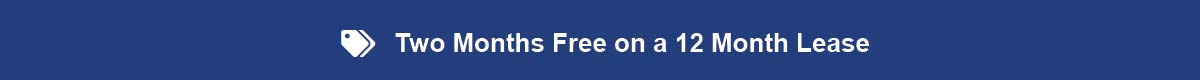 12 Months Specials Banner