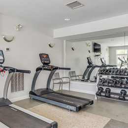 Gym with treadmills and weights