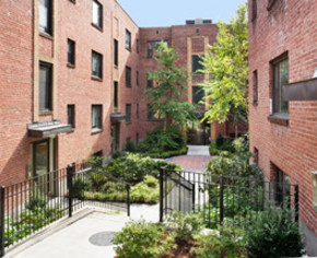 chestnut hill realty