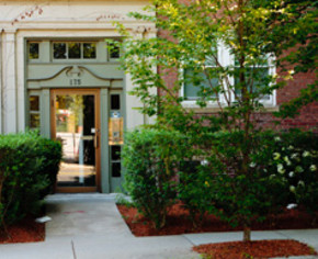 chestnut hill realty