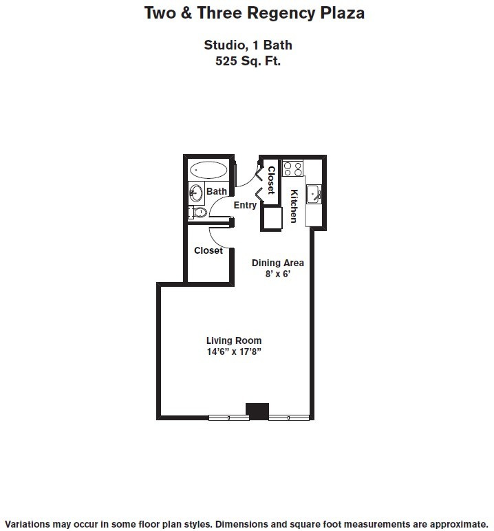 Regency Plaza Corporate Housing - Studio 525 SF