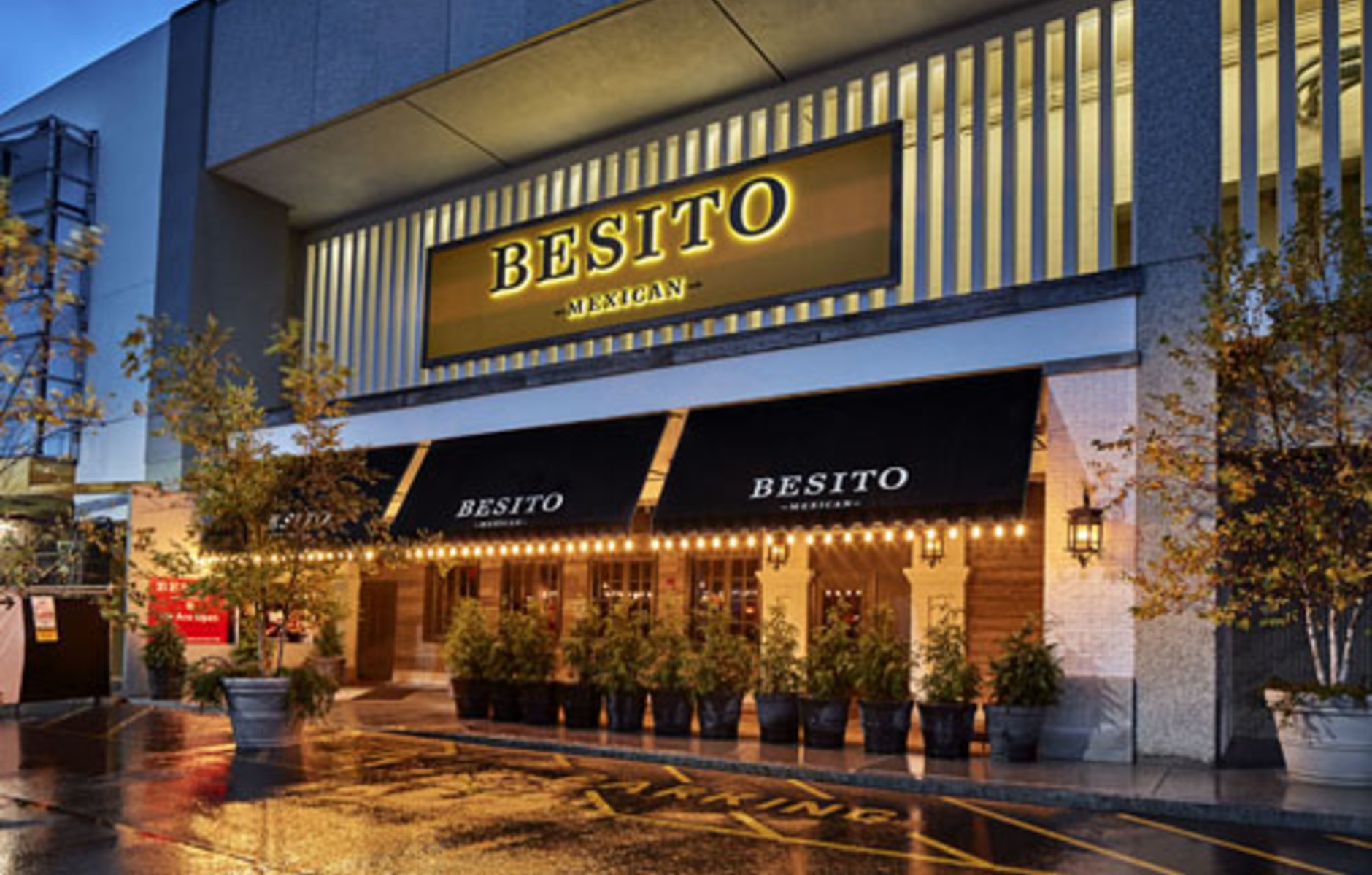 The Shops at Chestnut Hill