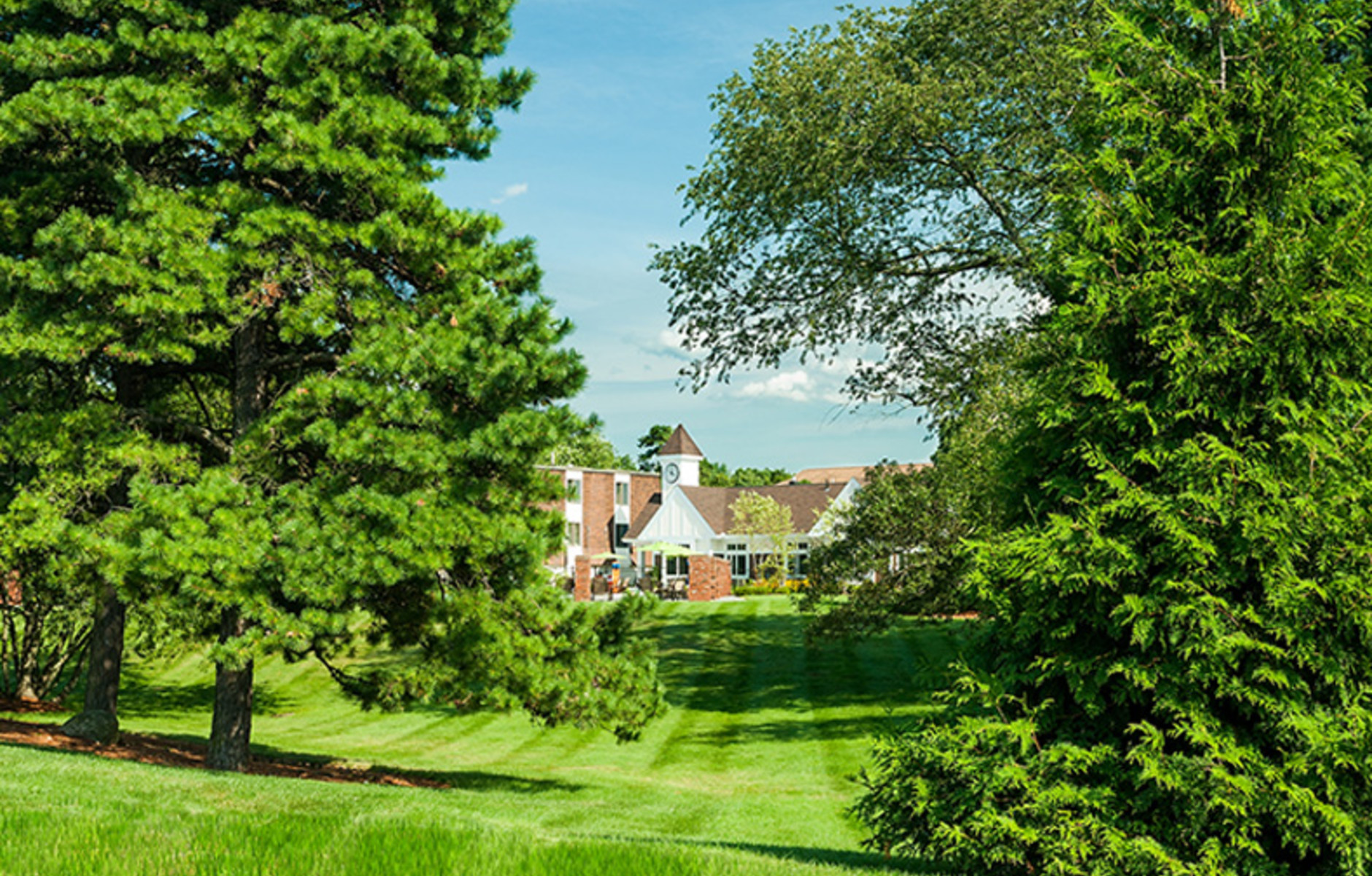 Lush Landscaping