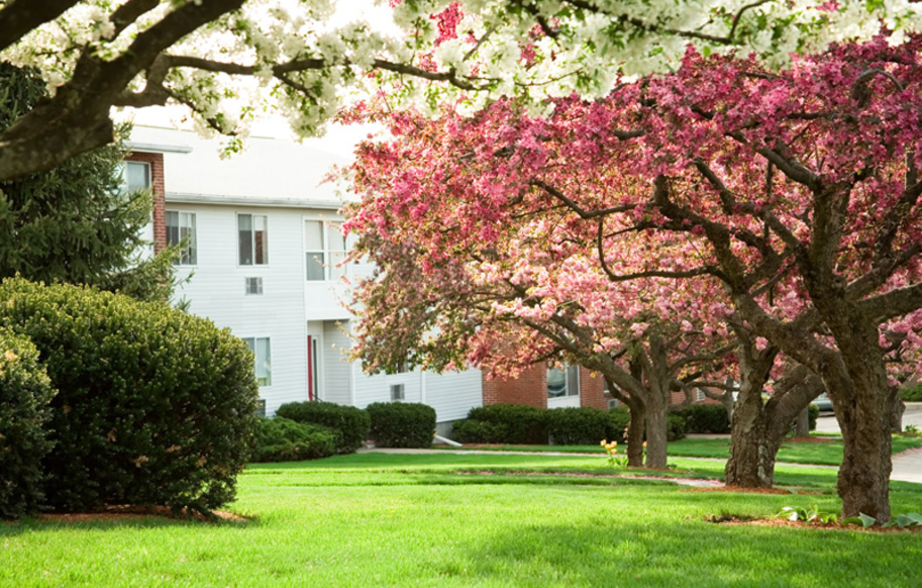 Ridgecrest Village: The Terrace