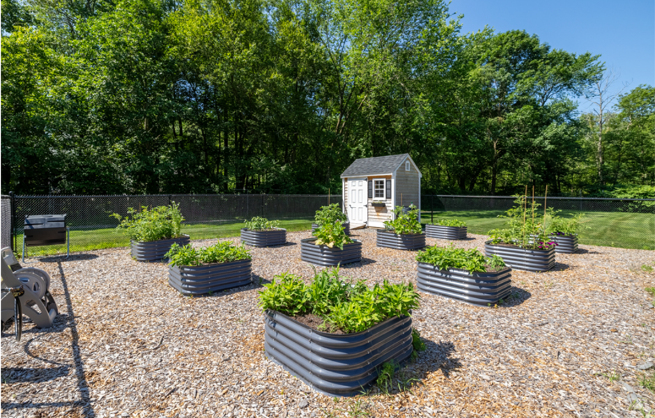 Outdoor community garden
